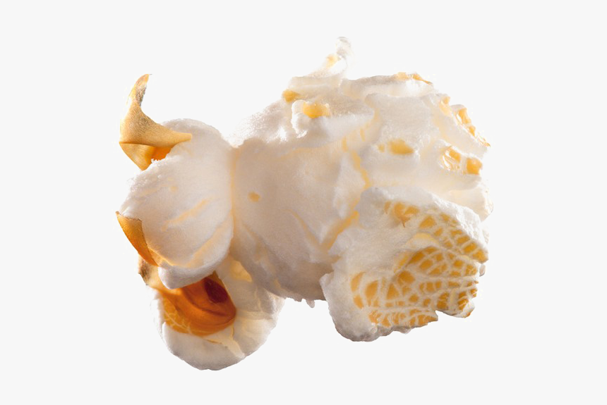 Popcorn Png - Single Popcorn Kernel Png, Transparent Png, Free Download