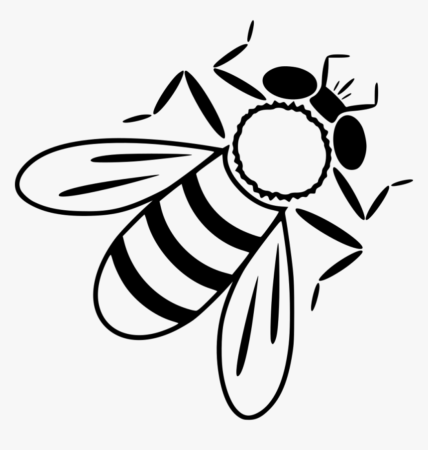 Bee, HD Png Download, Free Download