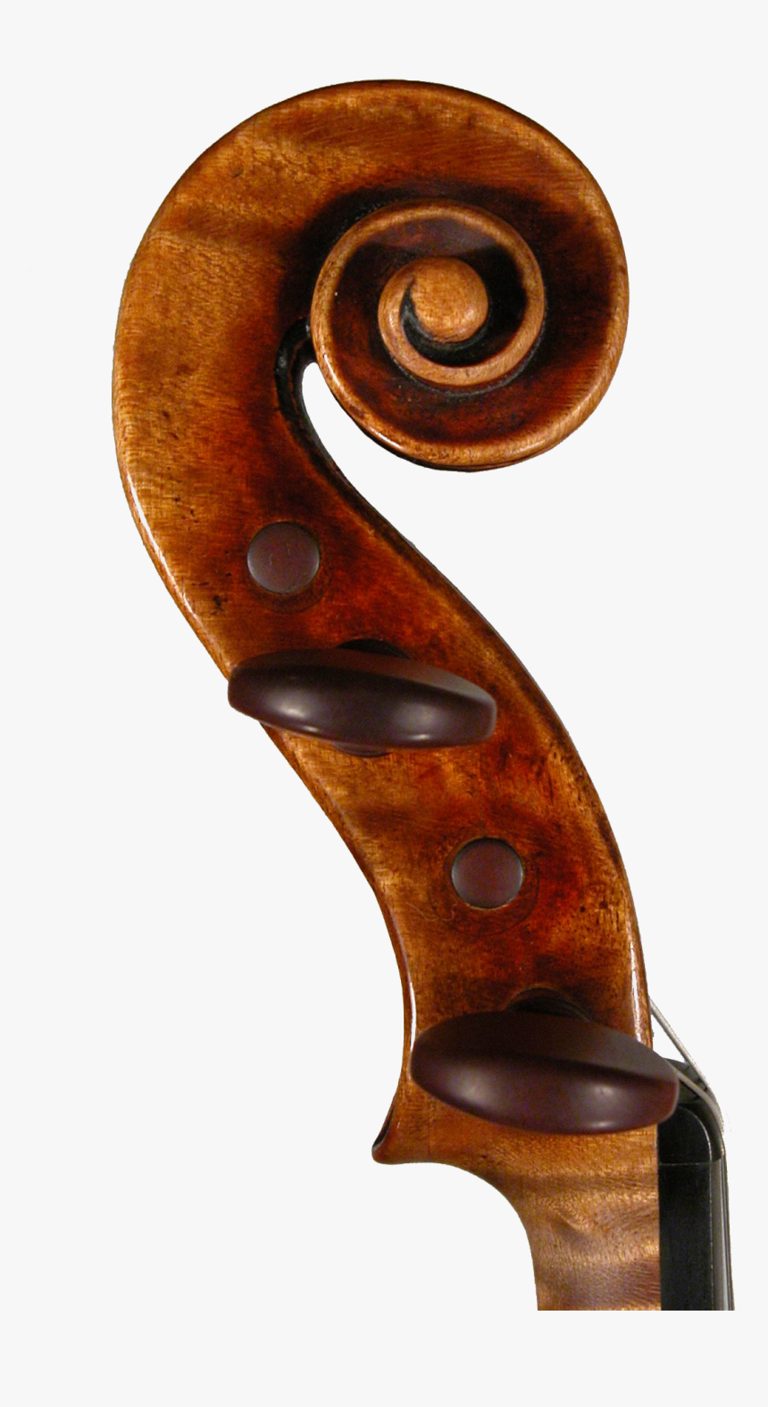 Picture Left Side Scroll Violin - Violin Scroll Transparent Background, HD Png Download, Free Download