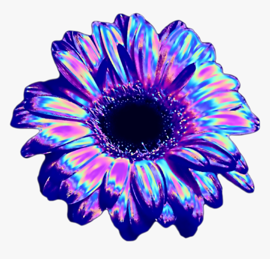 Transparent Vaporwave Transparent Png - Transparent Vaporwave Flower Png, Png Download, Free Download