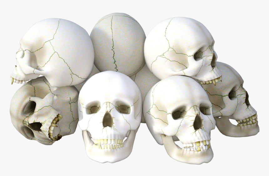 Skulls Png Image - Transparent Transparent Background Skulls, Png Download, Free Download