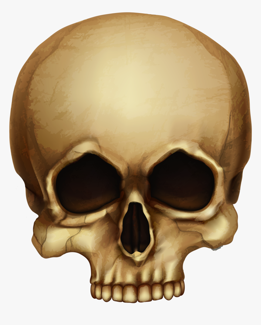 Bone - Png Images With Transparent Background Skull, Png Download, Free Download