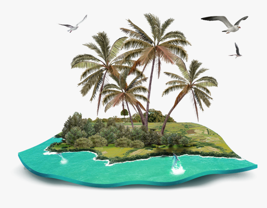 Coconut Gratis Island Tree Decoration Pattern Beach - Tropical Island Png, Transparent Png, Free Download