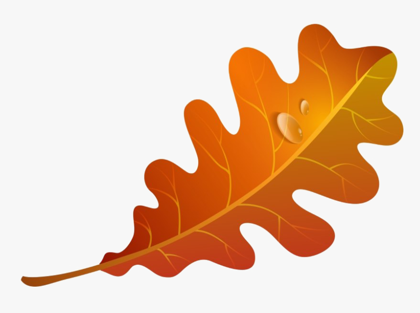 Fall Leaves Png Image - Autumn Leaves Clipart, Transparent Png, Free Download