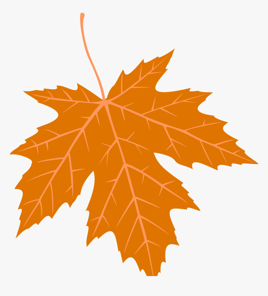 Maple Leaf, HD Png Download, Free Download