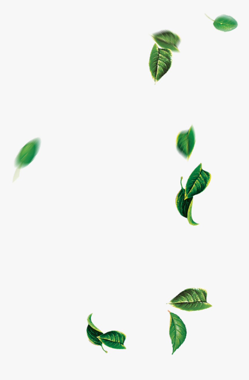 Leaf Green Tree - Falling Leaves Green Png, Transparent Png, Free Download