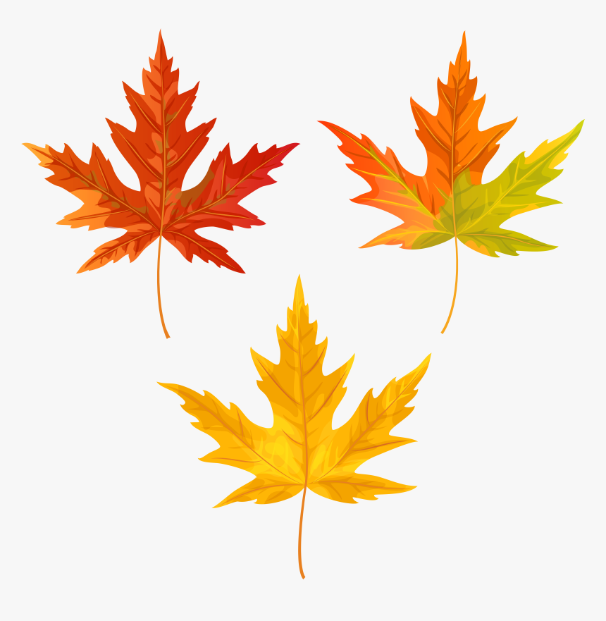 Download Orange Fall Leaves Clipart Png Photo - Transparent Background Fall Leaves Clipart, Png Download, Free Download