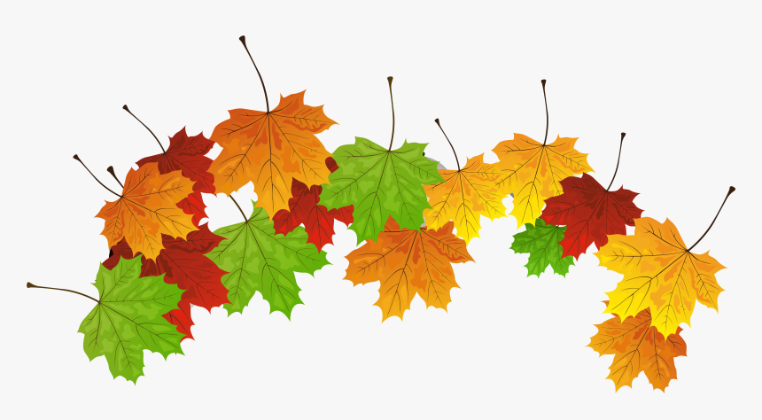 Fall Leaves Png Clipart Image - Clipart Fall Flower Leaves, Transparent Png, Free Download