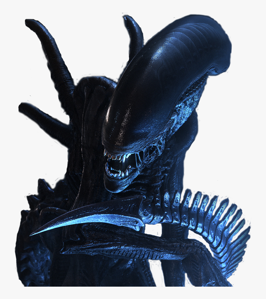 Alien Png Transparent Picture - Alien Vs Predator Png, Png Download, Free Download