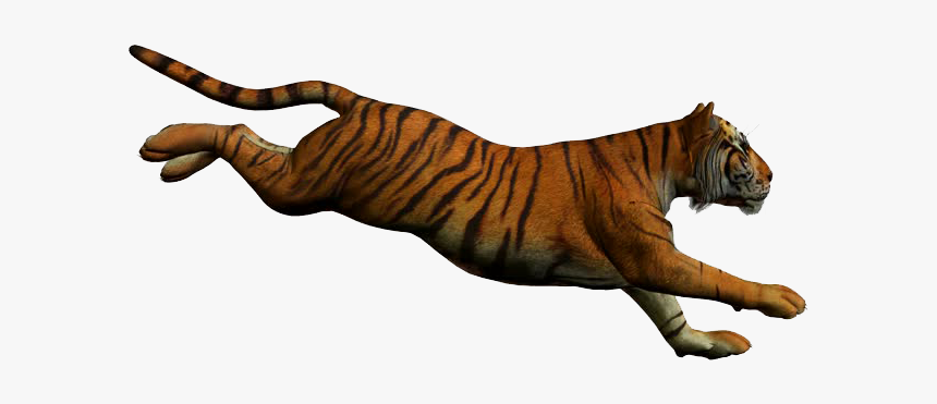 Tiger Png Free Download - Animated Tiger White Background, Transparent Png - kindpng Tiger Png Free Download - Animated Tiger White Background, Transparent Png - kindpng