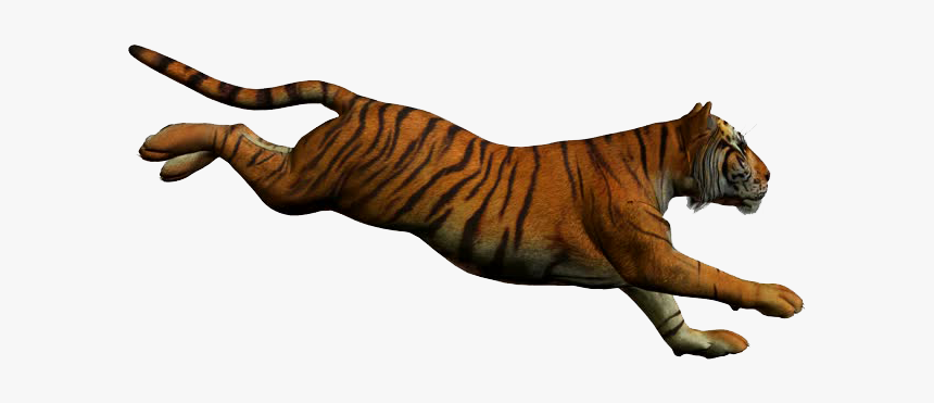 Tiger Png Free Download - Animated Tiger White Background, Transparent Png, Free Download