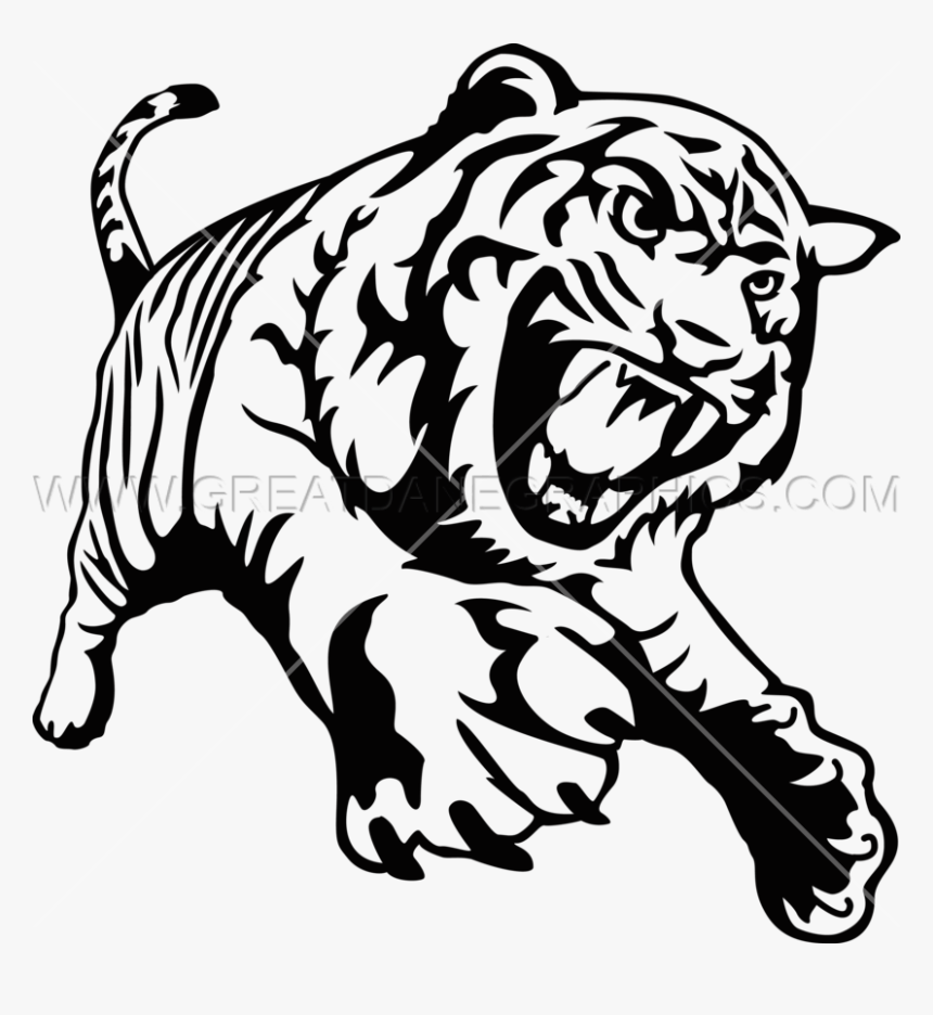 Tiger Full Body Drawing Clipart Cat Drawing Clip Art - Tiger Black And White Clipart, HD Png Download, Free Download