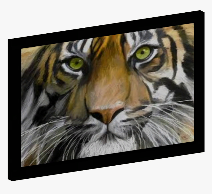 Asian Paintings - Eye Of The Tiger, HD Png Download, Free Download