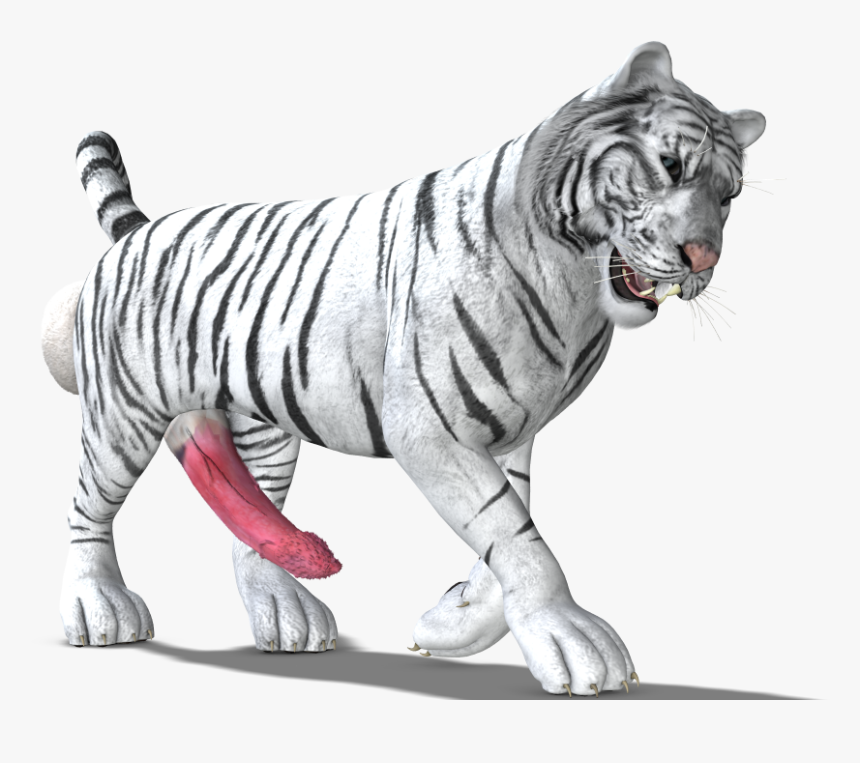 Tiger Png, Transparent Png, Free Download