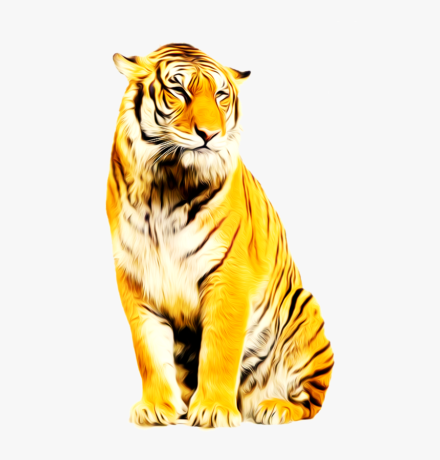 Tiger Animation Photoscape - Picsart Background Edit Lion, HD Png Download, Free Download