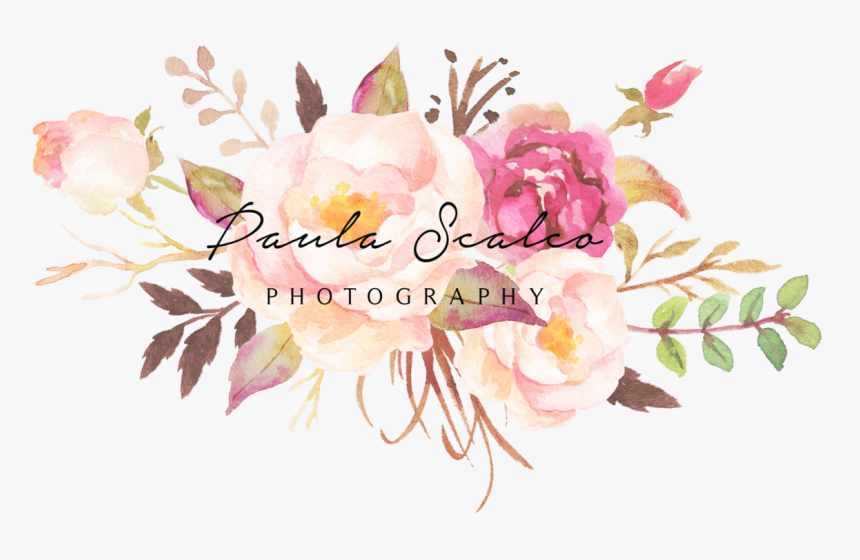 Burgundy Watercolor Flowers Png , Png Download - Burgundy And Pink Flowers, Transparent Png, Free Download