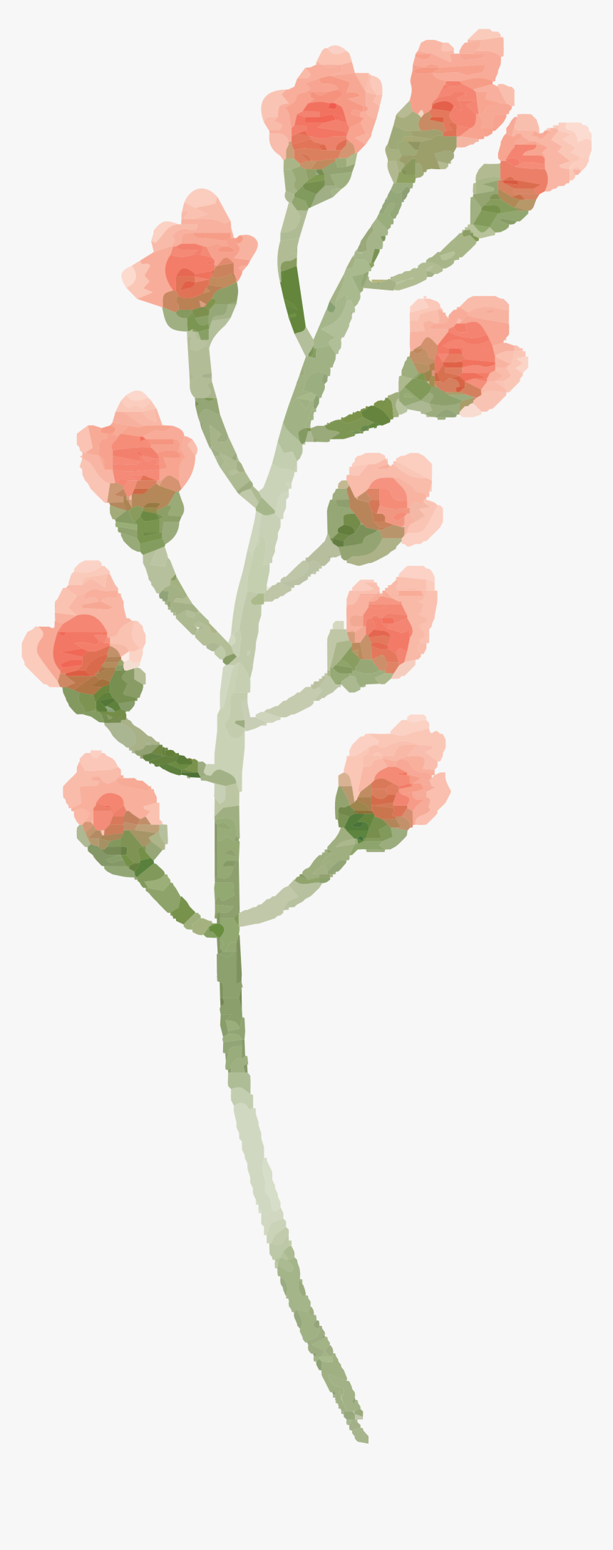 Watercolor Flowers Png, Transparent Png, Free Download