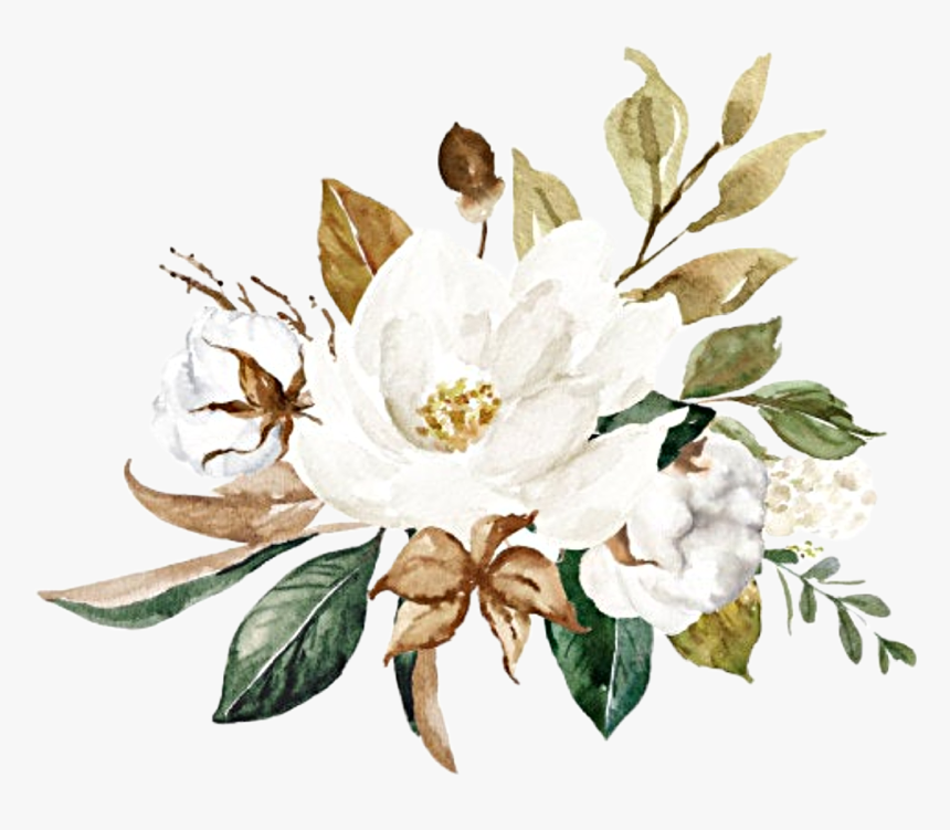 #watercolor #flowers #floral #bouquet #magnolia #cotton - Jasmine, HD Png Download, Free Download