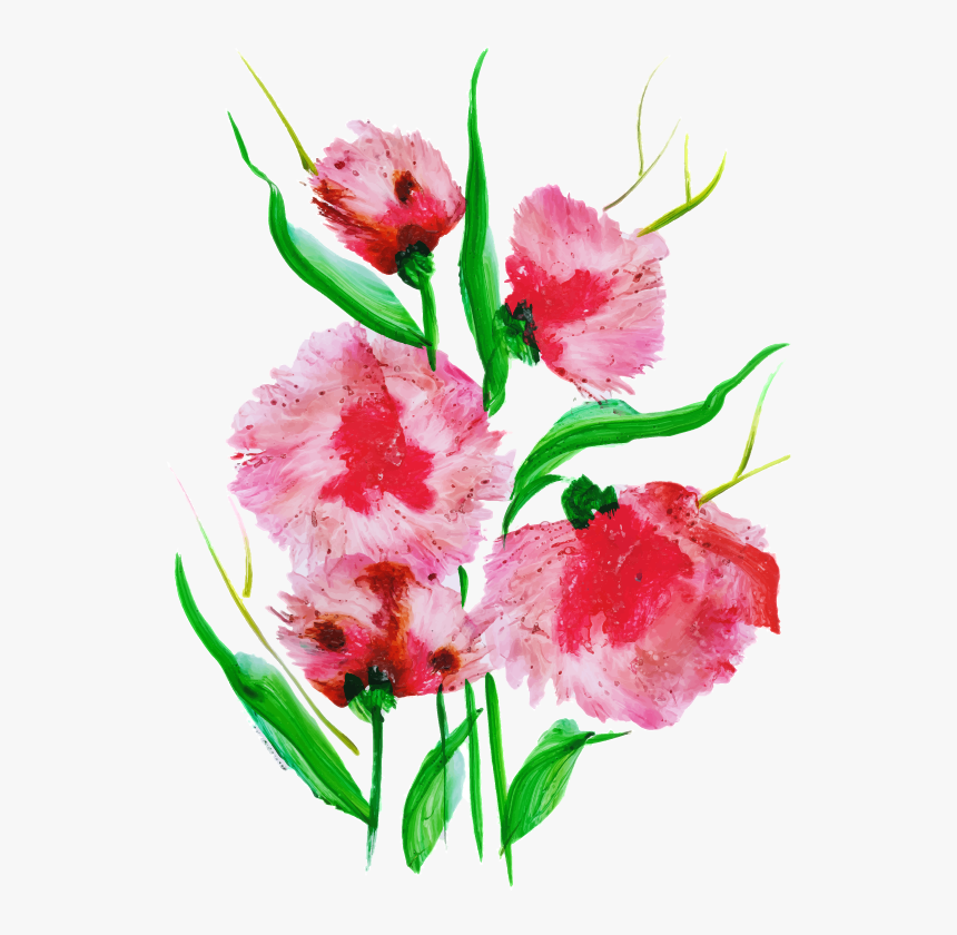 Sweet William, HD Png Download, Free Download