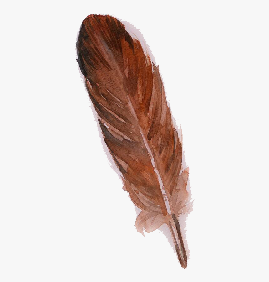 Feather Owl Brown Watercolor Painting - Brown Feather Png, Transparent Png, Free Download