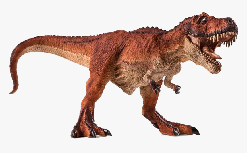 Dinosaur Png - Tyrannosaurus Rex Red, Transparent Png, Free Download