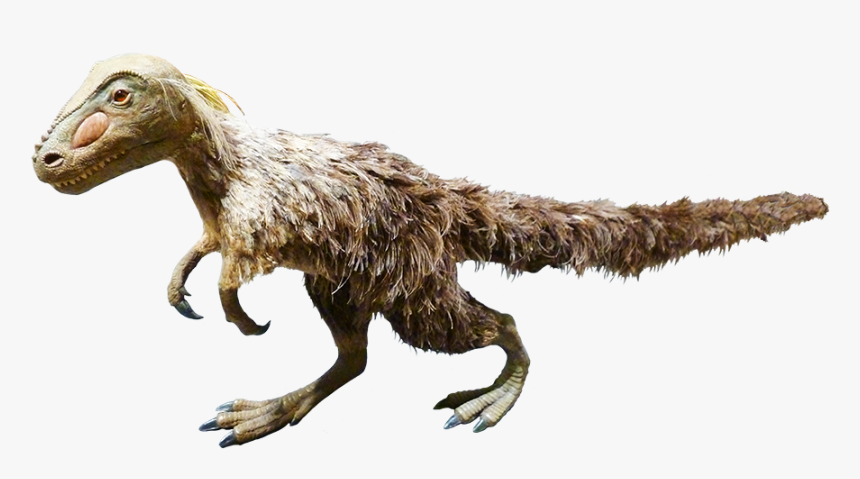 Feathered Dinosaur Clipart - Dinisaur Clipart, HD Png Download, Free Download