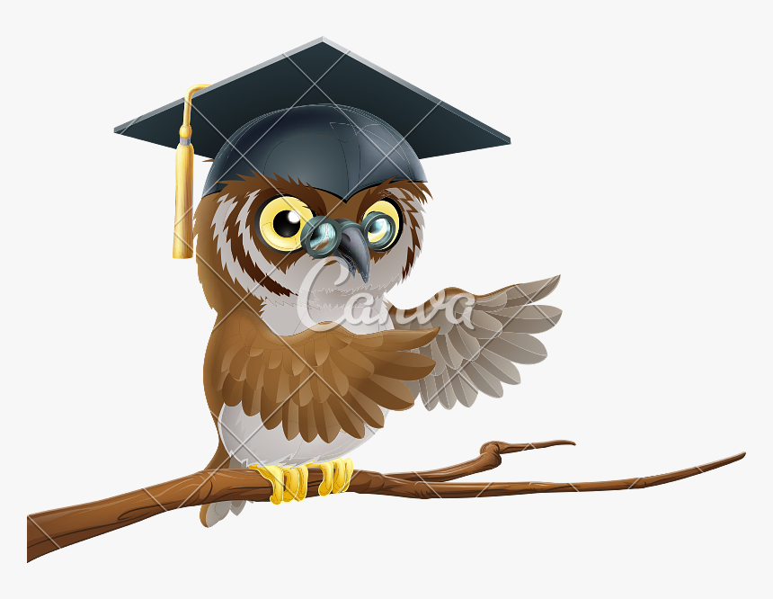 Owl Graduate Or Teacher Icon - Teacher Graduate, HD Png Download, Free Download