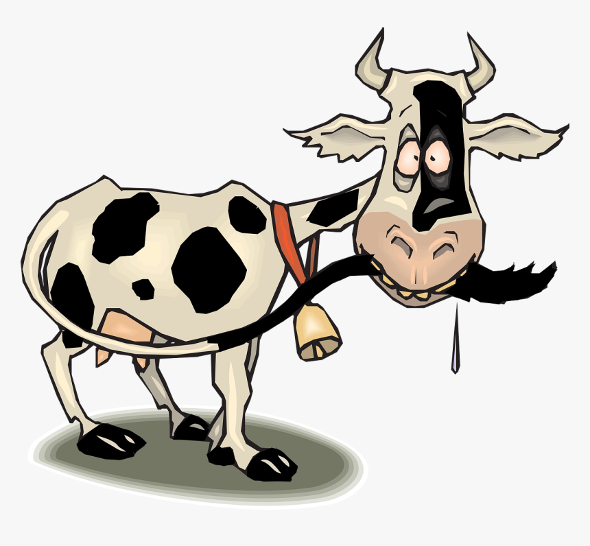 Clipart Funny Cow, HD Png Download, Free Download