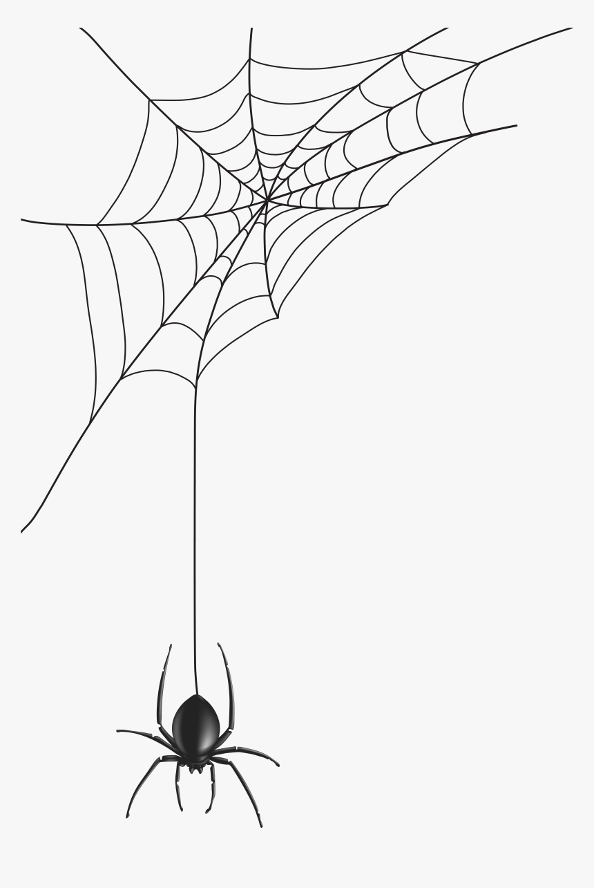 Web Spider Hq Image Free Png Clipart - Transparent Background Spider Web Png, Png Download, Free Download