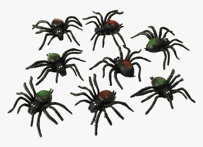 Spiders Transparent Image - Spiders Png, Png Download, Free Download