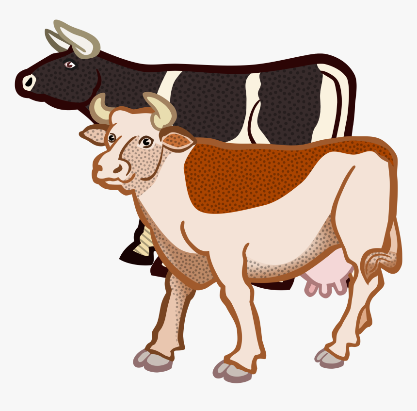 Jersey Cattle British White Cattle Highland Cattle - Two Cows Clipart, HD Png Download, Free Download