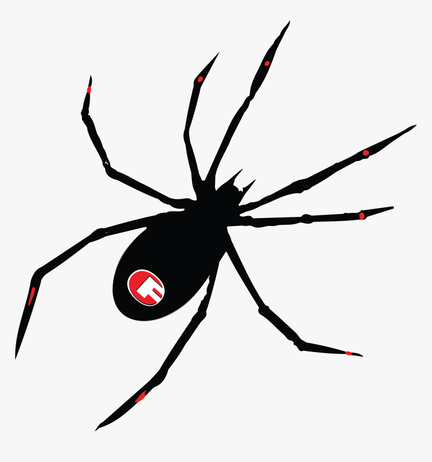 Transparent Black Widow Clipart - Spider 08, HD Png Download, Free Download