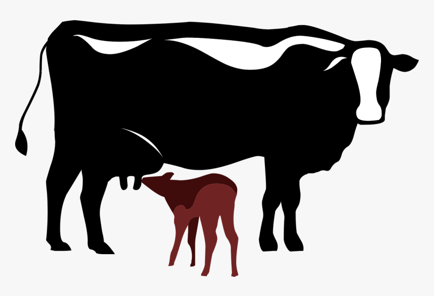 Dairy Cattle Calf Vector Graphics Clip Art - Cow And Calf Vector, HD Png Download, Free Download