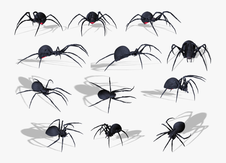 4535 - Spider, HD Png Download, Free Download