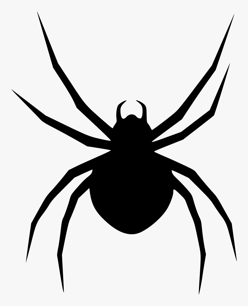 Spider - Halloween Picture Of Spider, HD Png Download, Free Download
