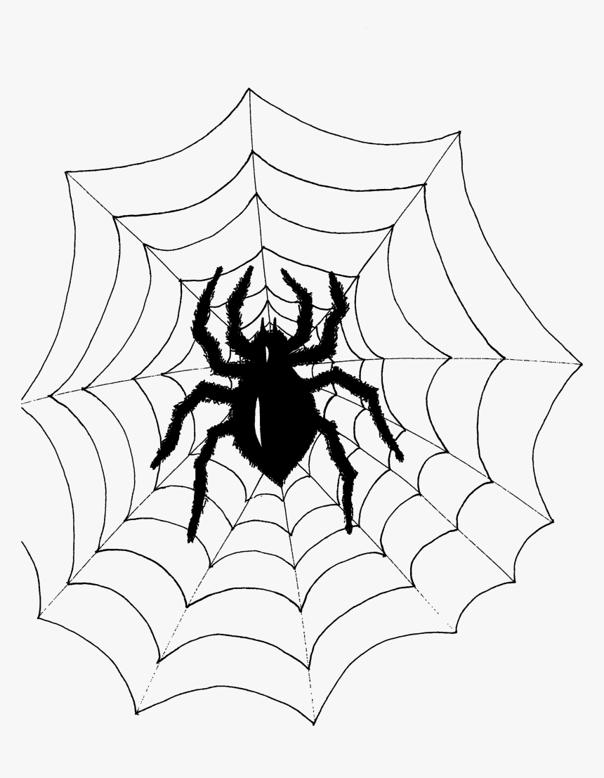 Transparent Spider - Spider Web, HD Png Download, Free Download