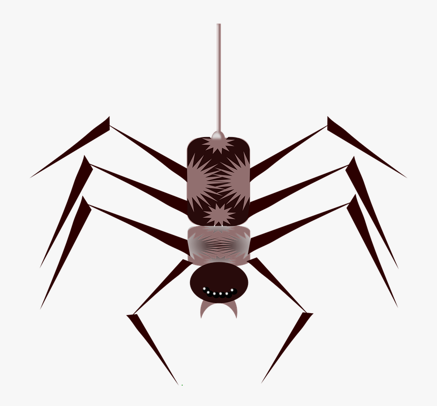 Spider, Bug, Insect, Hanging, Sting, Arachnid - Gif Spider Png, Transparent Png, Free Download