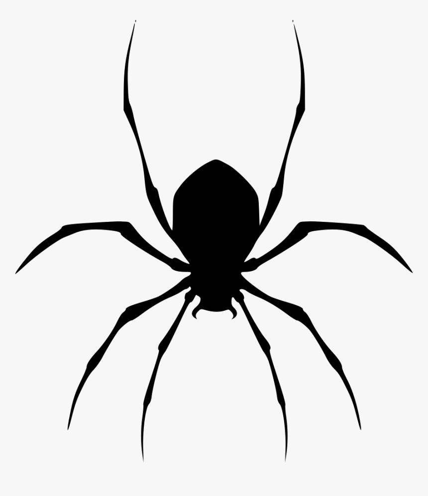 Spider - Spider Icon Free Download, HD Png Download, Free Download
