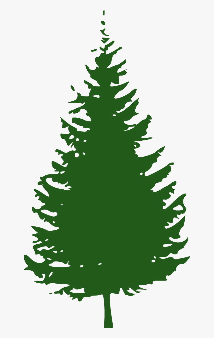 Pine Tree Clipart Png, Transparent Png, Free Download