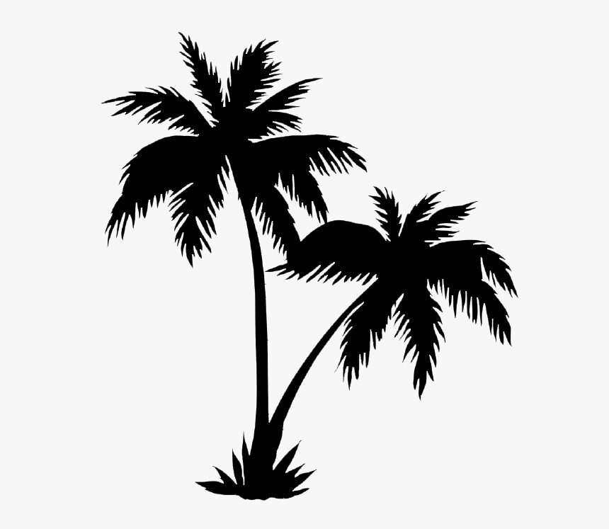 Palm Trees Png Black - Realistic Palm Tree Drawings, Transparent Png, Free Download