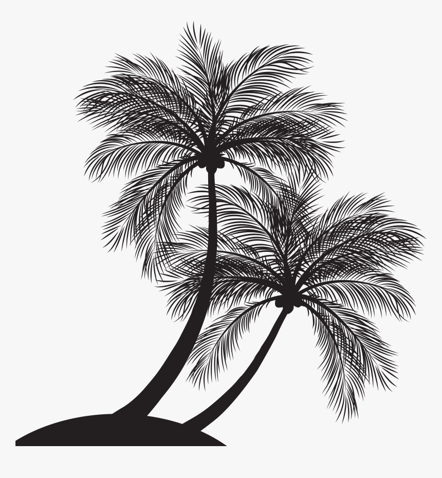 Palm Trees Clip Art Silhouette Image Vector Graphics, HD Png Download, Free Download