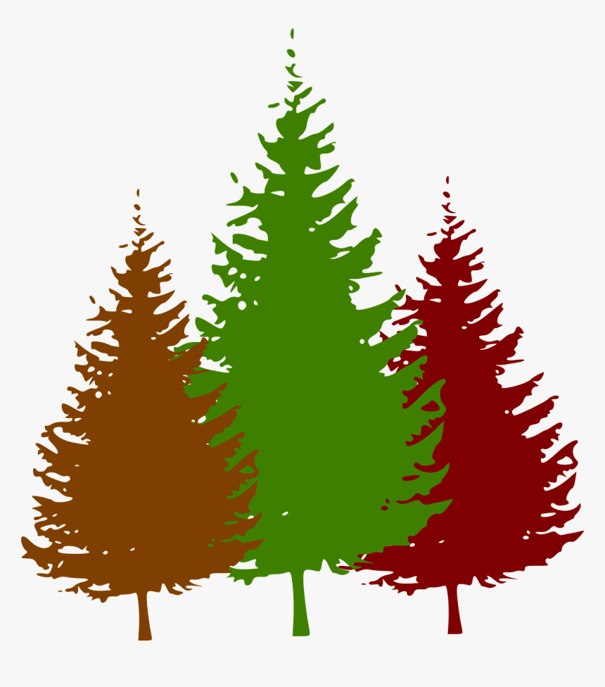Pine Tree Clipart Png, Transparent Png, Free Download
