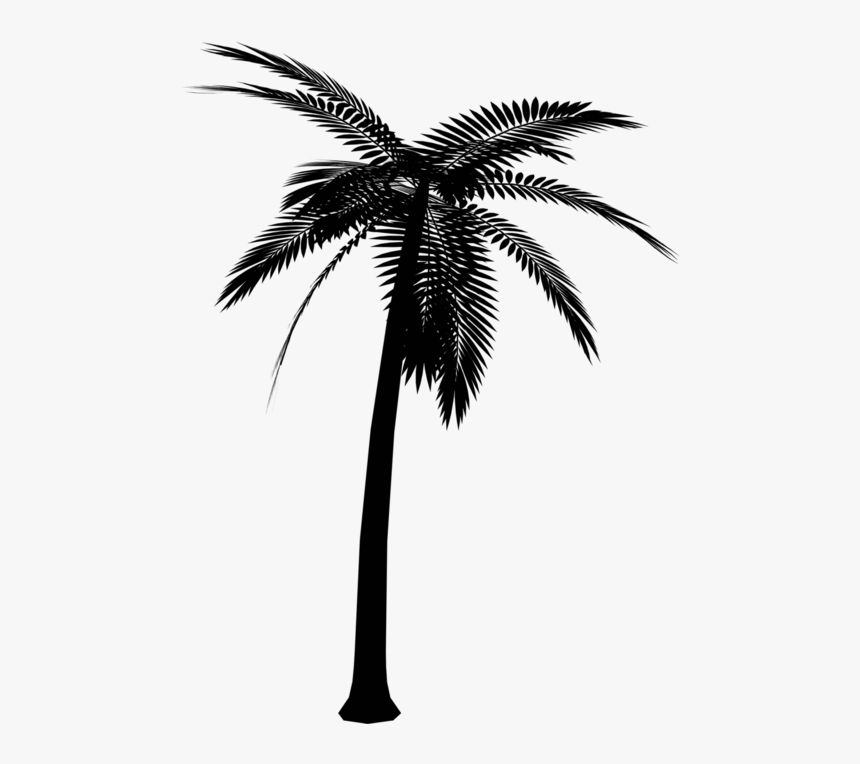 Portable Network Graphics Vector Graphics Clip Art - Vector Silhouette Palm Tree Png, Transparent Png, Free Download