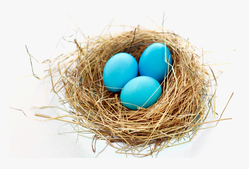 Easter-egg - Birds Nest Transparent Png, Png Download, Free Download