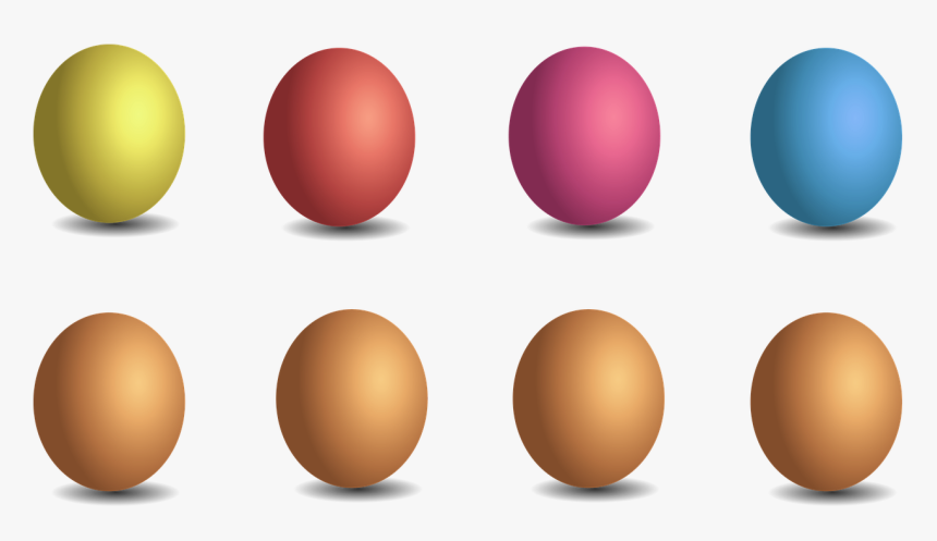 Egg Color Png, Transparent Png, Free Download