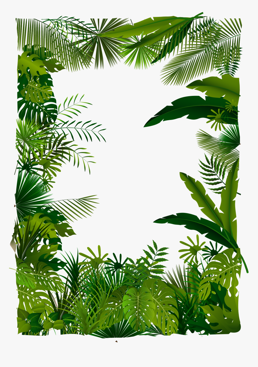 Trees Tree Illustration Tropical Euclidean Vector Forest - Tropical Leaves Frame Png, Transparent Png, Free Download