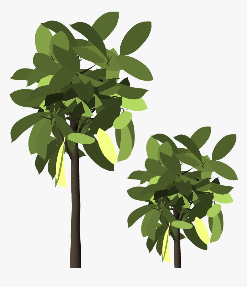Twig, HD Png Download, Free Download