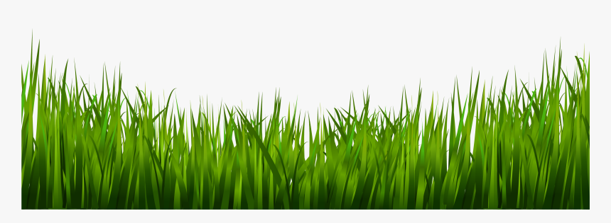 Plants Clipart Landscaping - Grass And Plants Png, Transparent Png, Free Download
