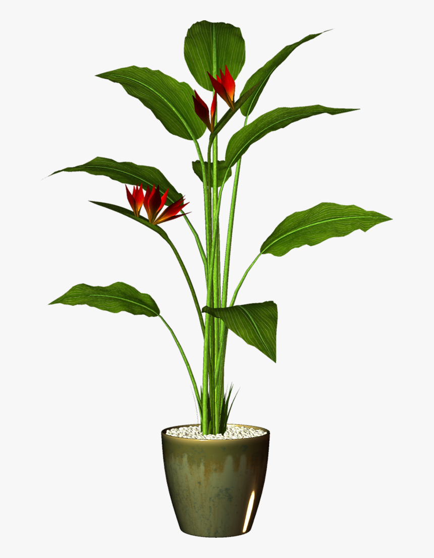 Potted Plants, Potted Flowers, Garden Pots, Clipart, - Plant With Pot Png, Transparent Png, Free Download