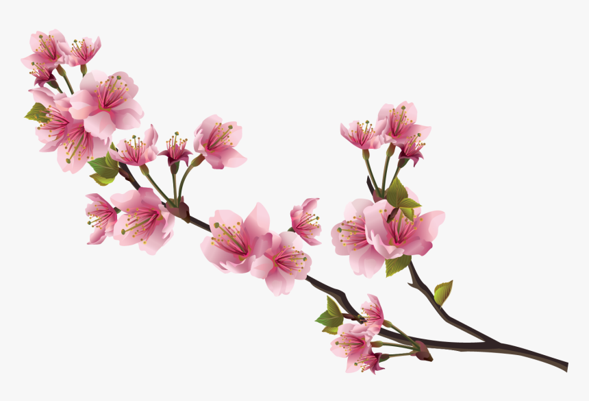 Pink Real Flowers Png, Transparent Png, Free Download